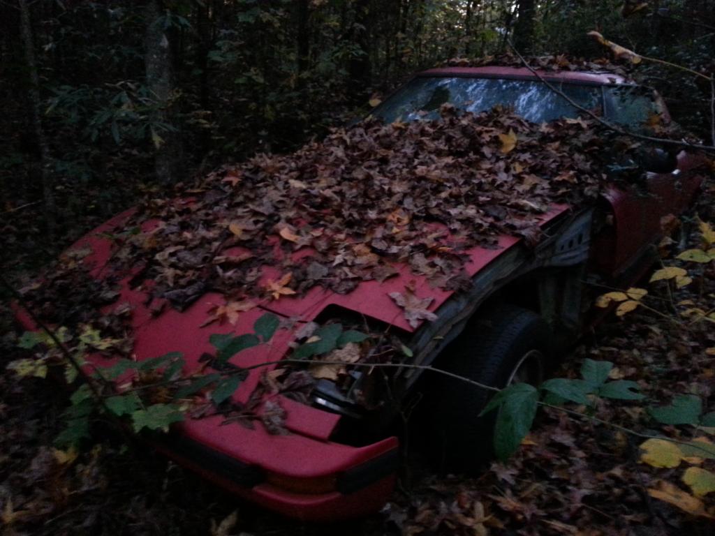 Name:  20141029_185358.jpg
Views: 58
Size:  98.6 KB