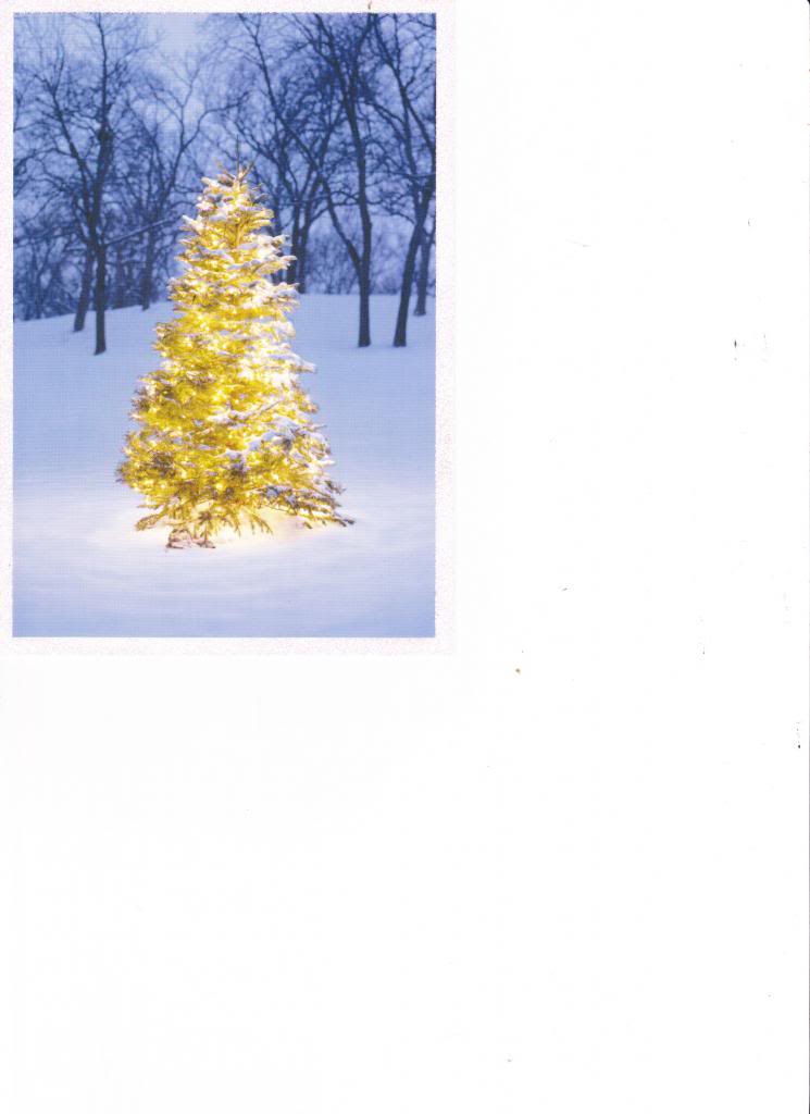 Name:  tree003_zpse62654c5.jpg
Views: 225
Size:  48.8 KB