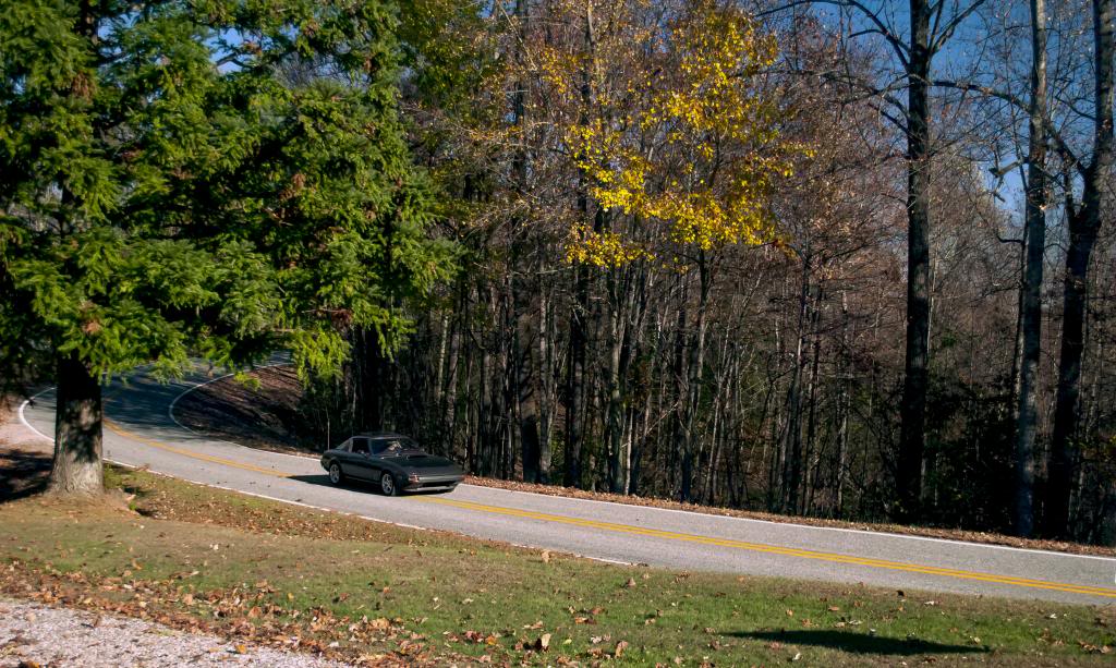 Name:  sam_zpsa48c0be2.jpg
Views: 37
Size:  169.5 KB