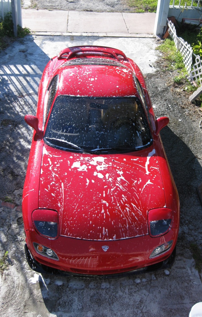 Name:  IMG_2605cropped.jpg
Views: 40
Size:  343.4 KB