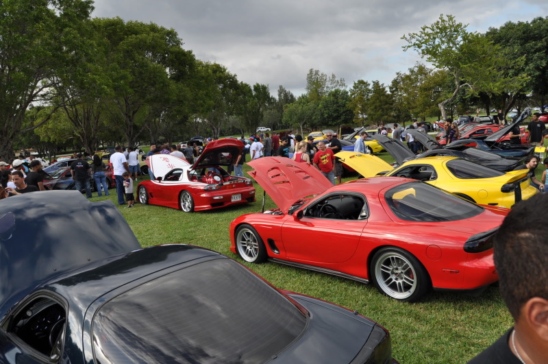 Name:  DSC_1606.jpg
Views: 65
Size:  166.0 KB
