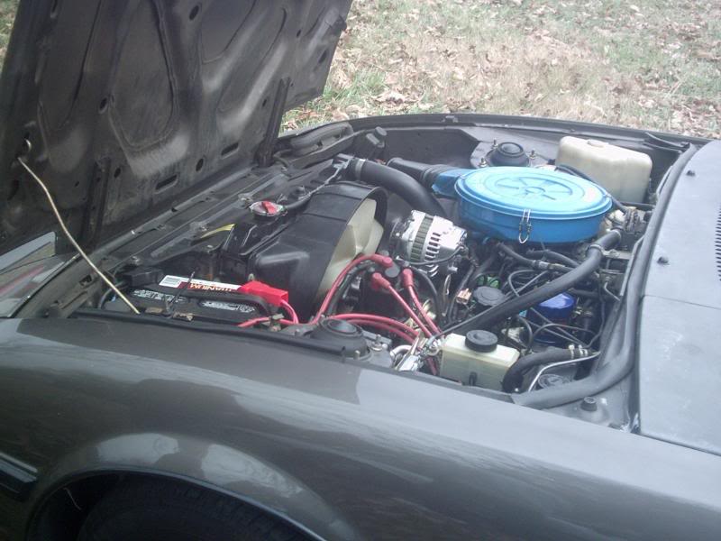 Name:  PHOT0024-1.jpg
Views: 49
Size:  62.8 KB