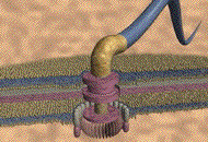 Name:  molmotor.gif
Views: 38
Size:  131.8 KB