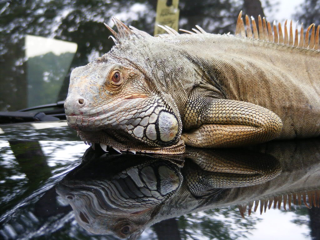 Name:  33-2.jpg
Views: 37
Size:  179.6 KB