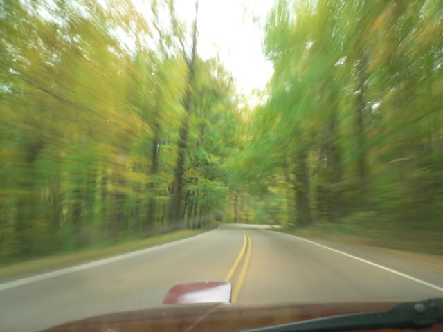 Name: P1020907.jpg
Views: 26
Size: 44.9 KB