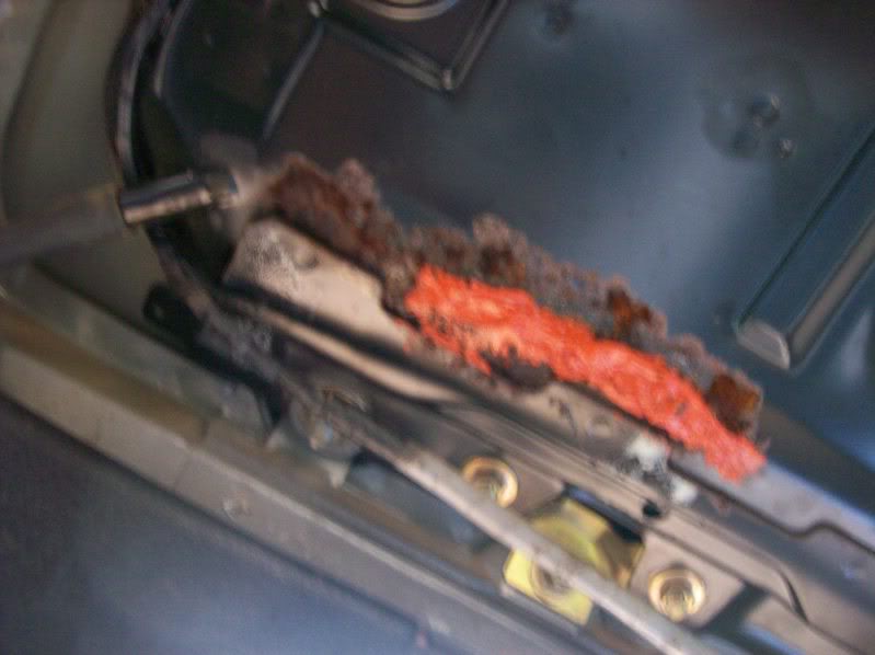 Name:  100_1795.jpg
Views: 21
Size:  42.1 KB