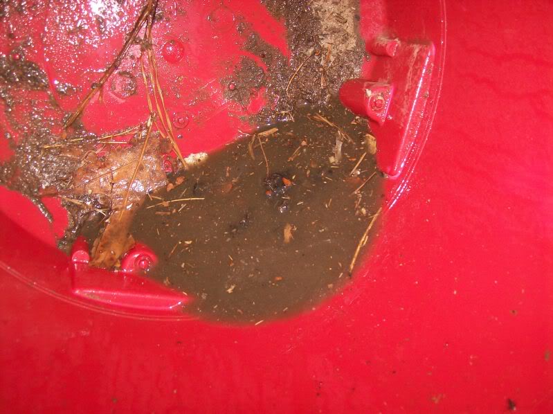 Name:  100_1846.jpg
Views: 26
Size:  77.2 KB