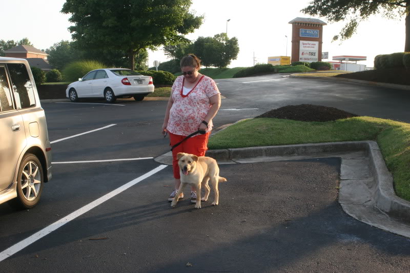 Name:  IMG_0034.jpg
Views: 44
Size:  108.4 KB