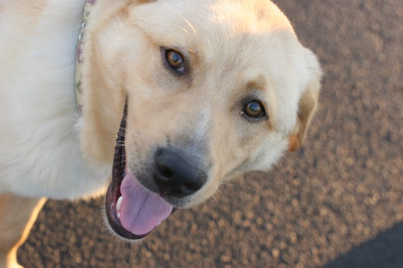 Name:  IMG_0070.jpg
Views: 33
Size:  67.4 KB