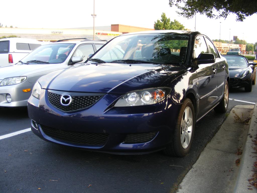 Name: boinger-holly.jpg
Views: 45
Size: 102.2 KB