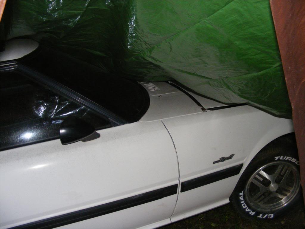 Name: DSCF1171.jpg
Views: 40
Size: 69.0 KB