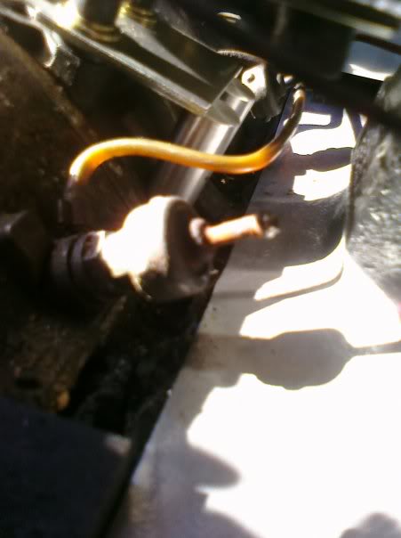 Name:  8927_1160708774024_1116930059_30459.jpg
Views: 41
Size:  26.3 KB