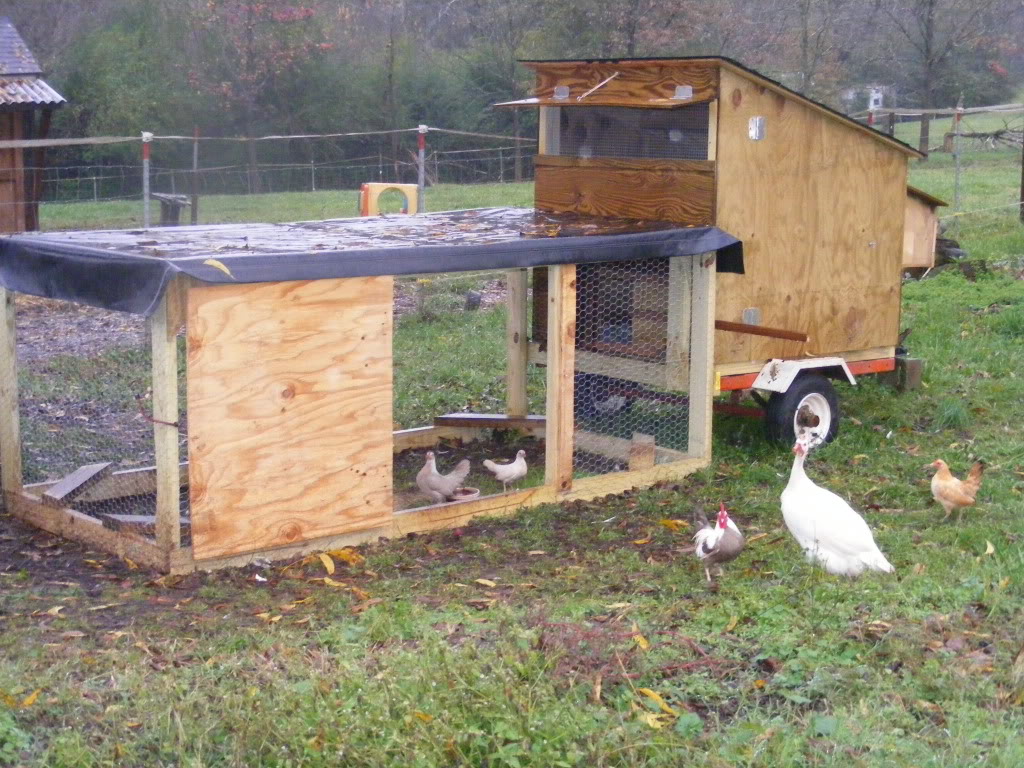 Name:  DSCF1580.jpg
Views: 37
Size:  219.0 KB