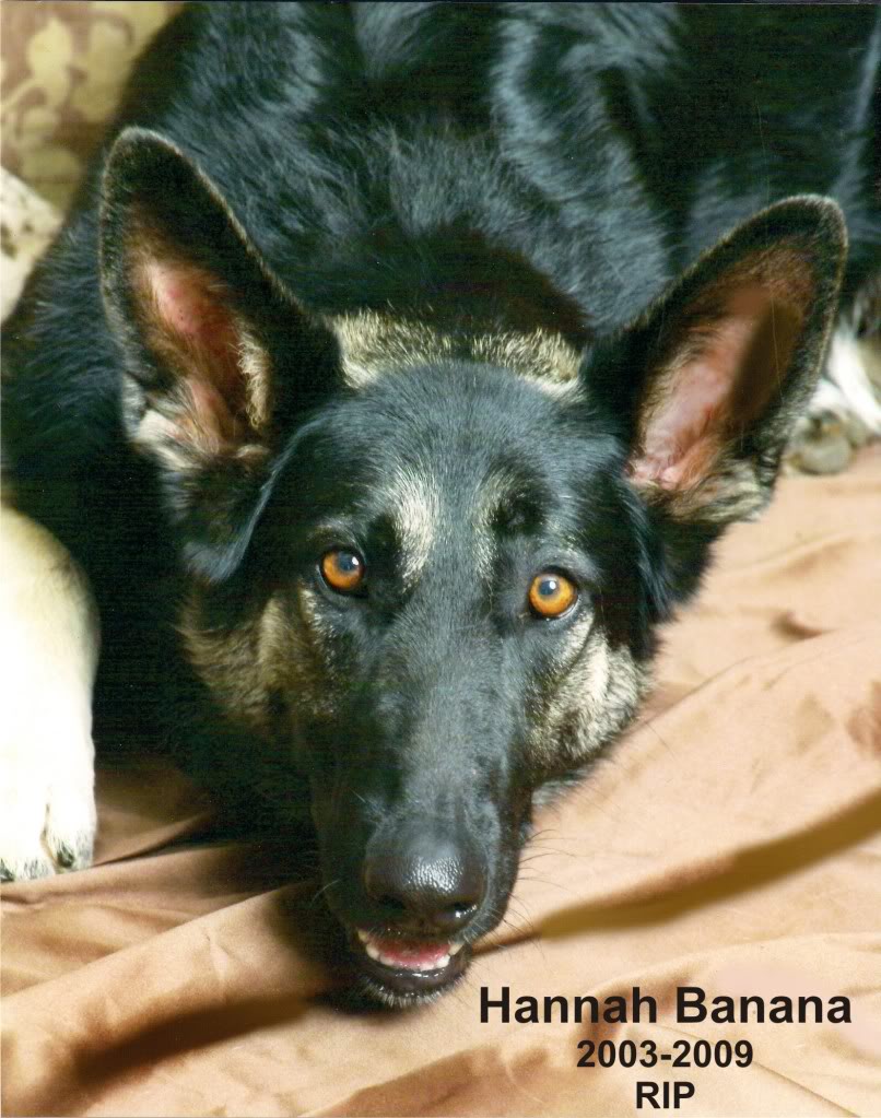 Name:  Hannahlabel.jpg
Views: 54
Size:  137.5 KB