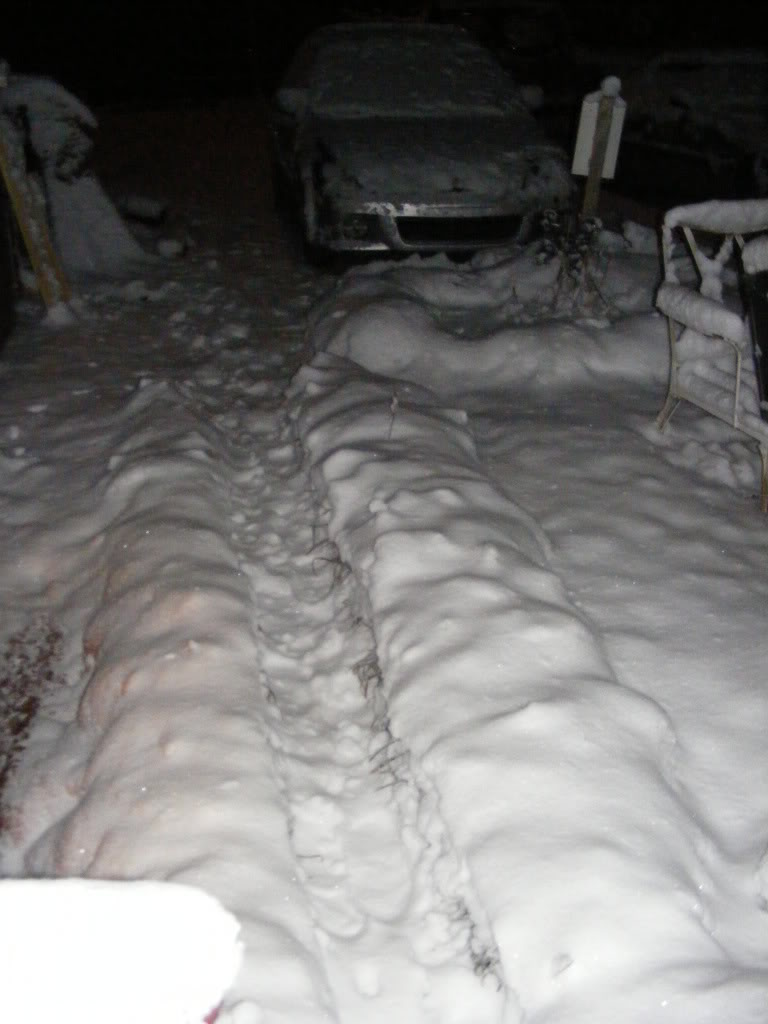 Name: DSCF2004.jpg
Views: 39
Size: 75.7 KB