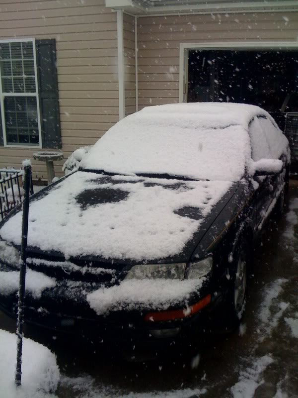 Name:  Snow2-12-10.jpg
Views: 41
Size:  82.8 KB