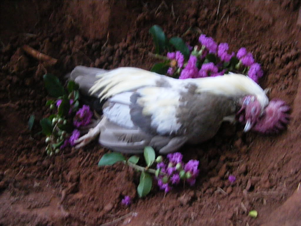 Name: DSCF3183.jpg
Views: 44
Size: 128.8 KB