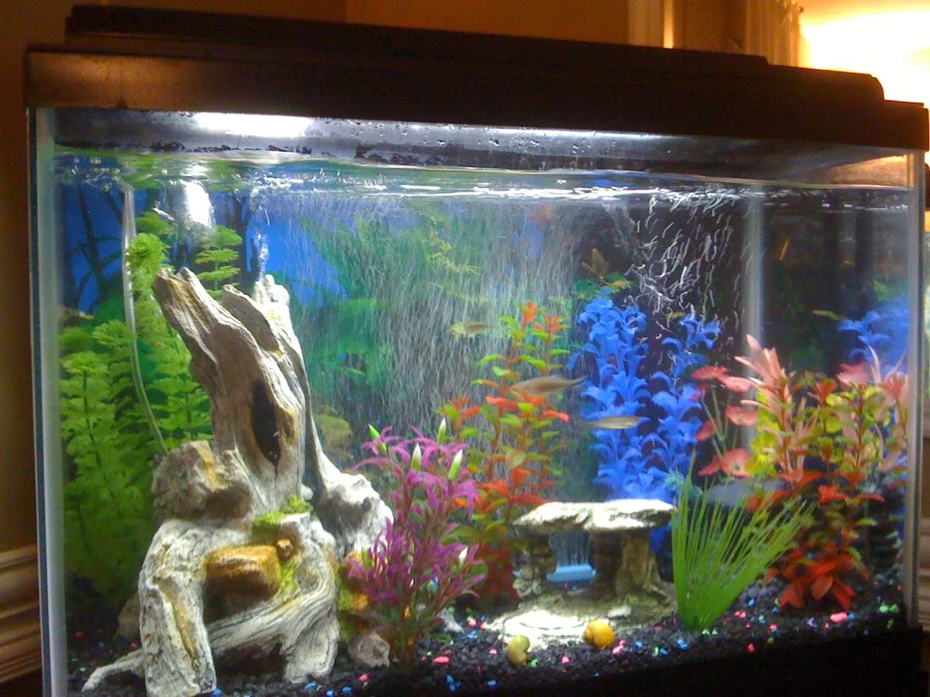 Name:  77112.jpg
Views: 32
Size:  154.9 KB