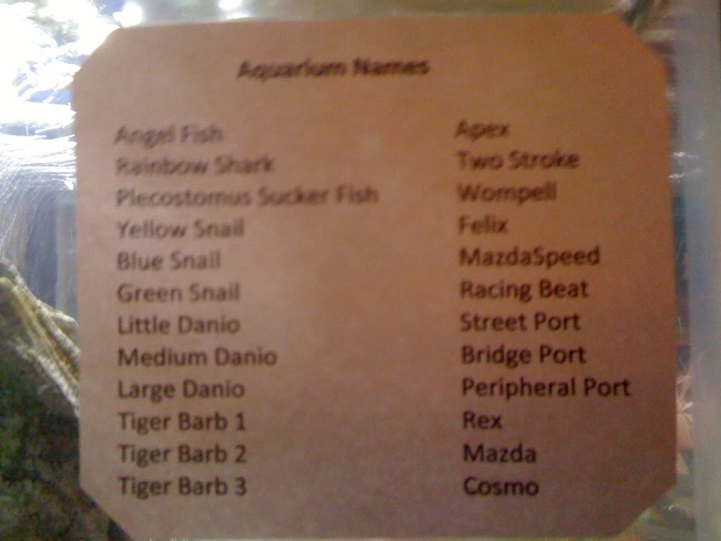 Name:  77111.jpg
Views: 32
Size:  70.7 KB