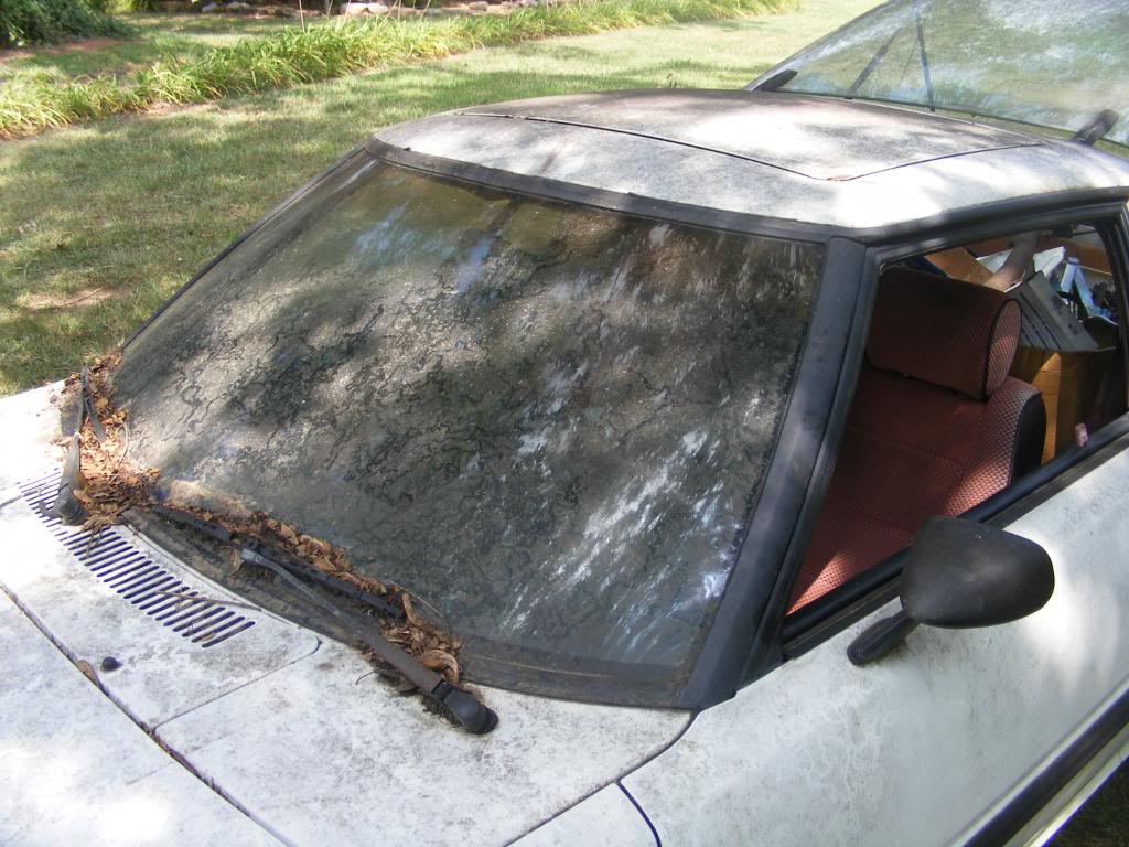 Name:  DSCF5253.jpg
Views: 34
Size:  130.9 KB