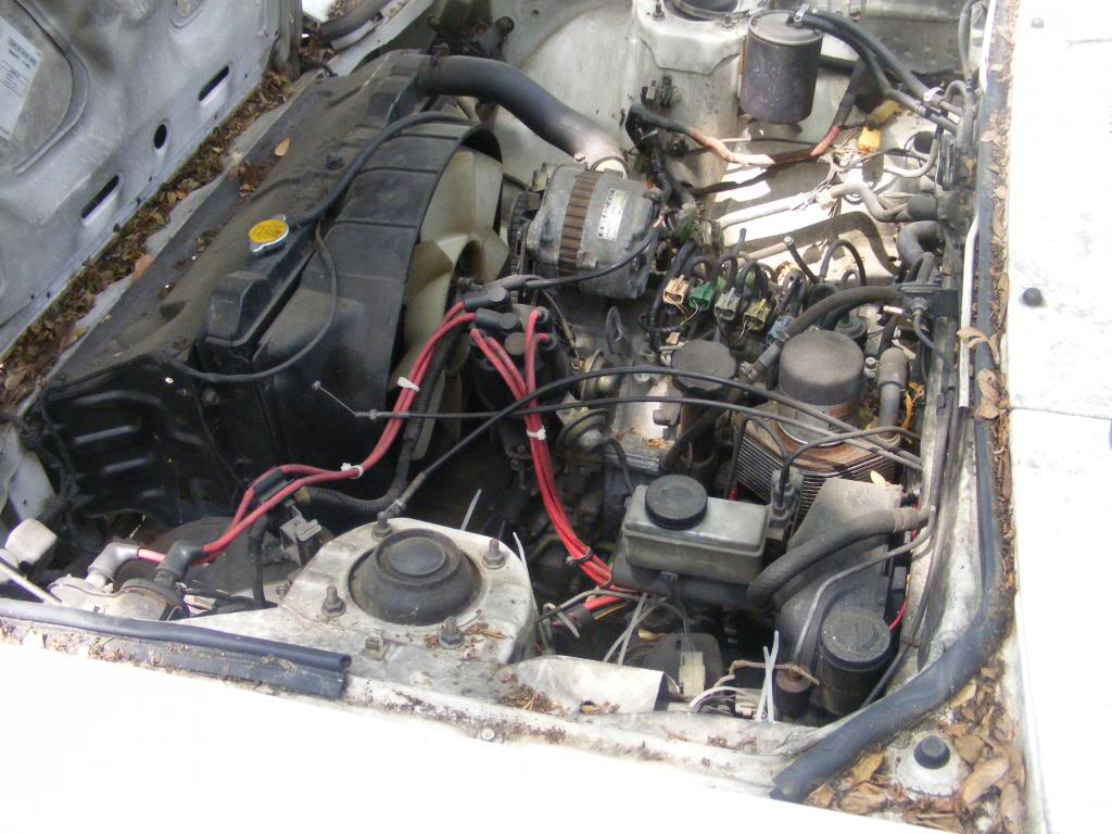 Name:  DSCF5254.jpg
Views: 29
Size:  115.7 KB