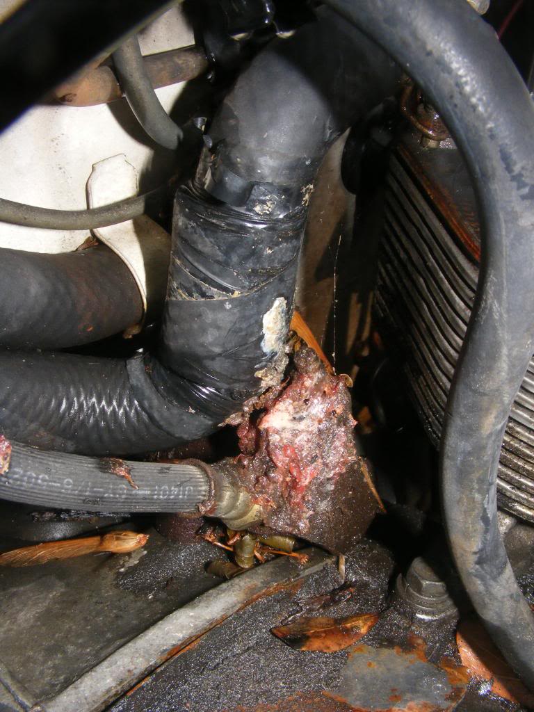 Name:  DSCF5293.jpg
Views: 35
Size:  125.8 KB