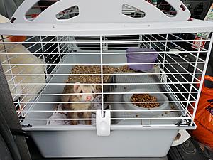 Old guys with 12As club meeting-20180424_080401-0-.jpg