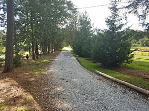 Old guys with 12As club meeting-cnq0nbt.jpg