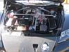 Post Pics Of Sevenstock Thread!!!-sandiego-037.jpg