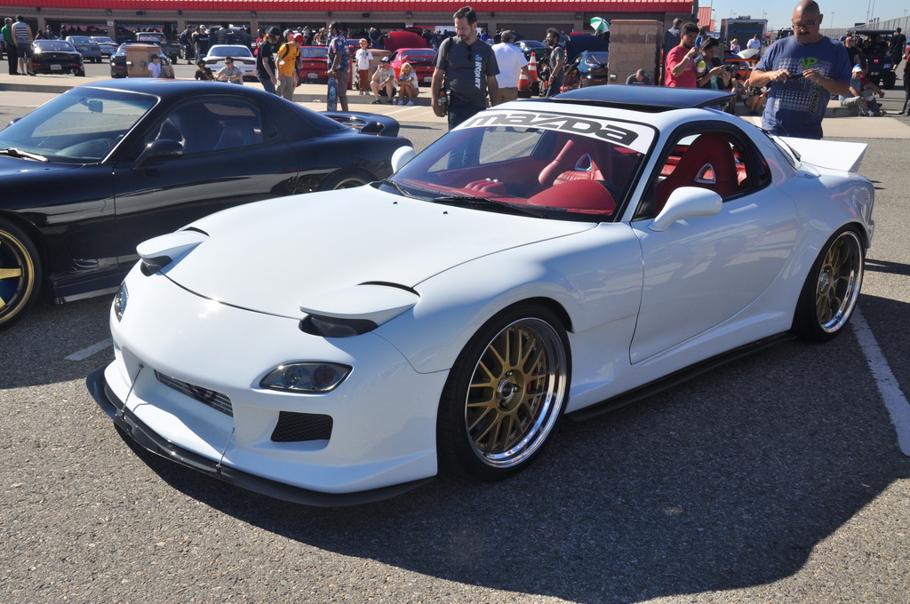 Name:  DSC_5104_zps5dx2zjxr.jpg
Views: 368
Size:  309.9 KB