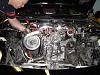 t76 in my future???-single-061.jpg