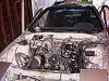 It's Alive.-dsc01621-cropped.jpg