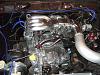 Searching for months!-small-engine-bay-blue-hose.jpg