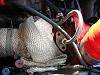 Newb needs help identifying a Turbo-dscn1224.jpg