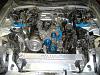 I'm Back-dscf0503.jpg
