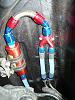 For those who have or want to run In Tank Bosch 044-dsc09290x.jpg