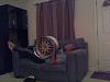 S475 widebody build....-1247278004336imagejpeg_2.jpg