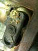 Anyone here capable of this repair???-tubby-turbo-007.jpg