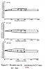 wideband experience-ntk2.jpg