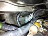 12 A turbo dyno 338 WHP-image-860533240.jpg