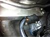 12 A turbo dyno 338 WHP-image-1955101928.jpg