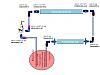 FPR purchase advice-fuel-rail-layout.jpg