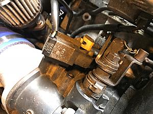 Revving issues on FC-img-4621.jpg