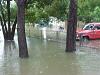 Flood season has officially arrived in Houston.-dsc01506.jpg