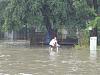 Flood season has officially arrived in Houston.-dsc01540.jpg
