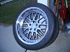 Rex has new shoes..Thanks Auto RnD!-1.jpg