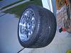 Rex has new shoes..Thanks Auto RnD!-2.jpg