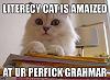 mesh wheels?-literacy%2520cat.jpg