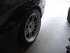wheel/tire fitment pic thread-dsc00632.jpg