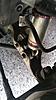Big caster, big time (FD)-20401325_10154763401991596_281120227_n.jpg